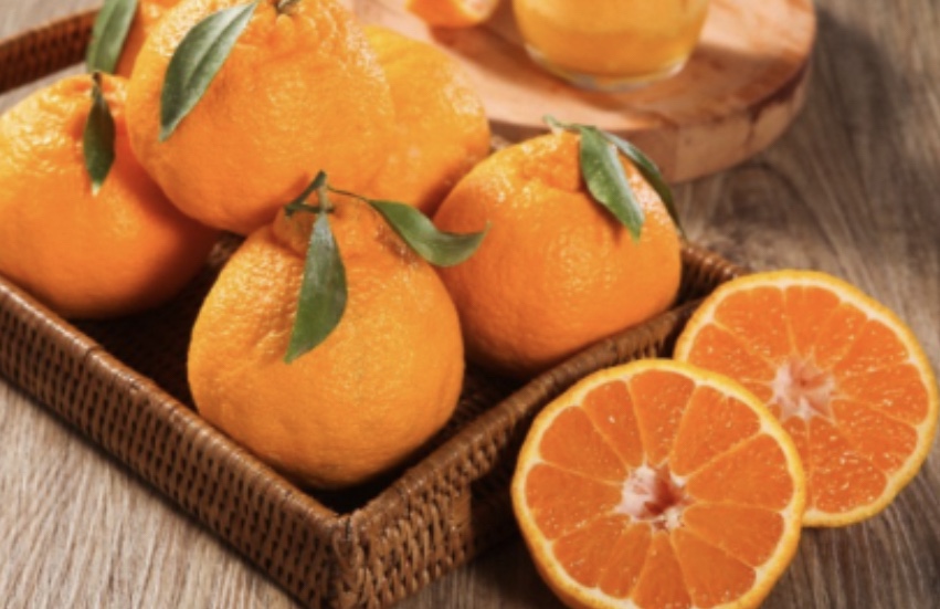 백일상 과일 한라봉