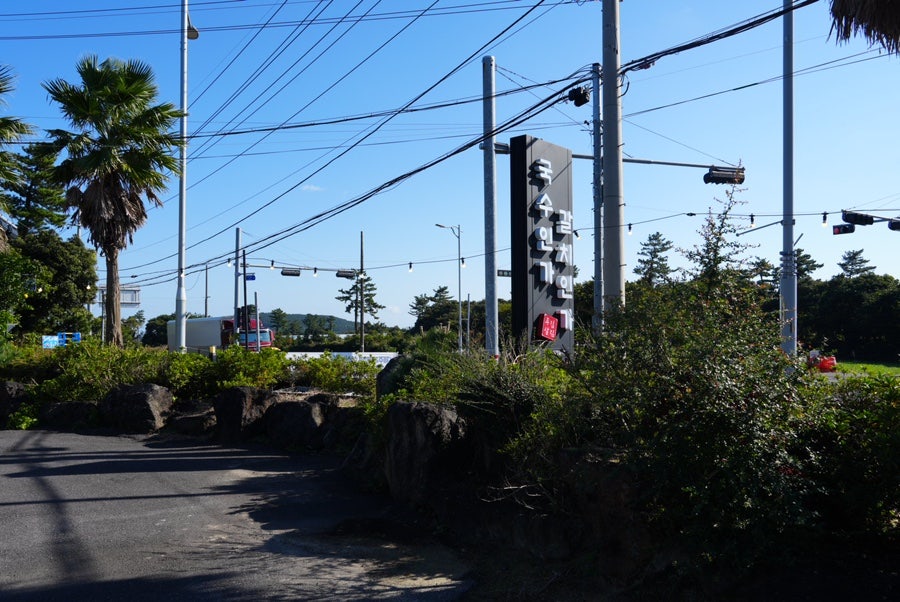 성산일출봉 가성비 맛집 | 국수인가갈치인가두집살림 솔직후기