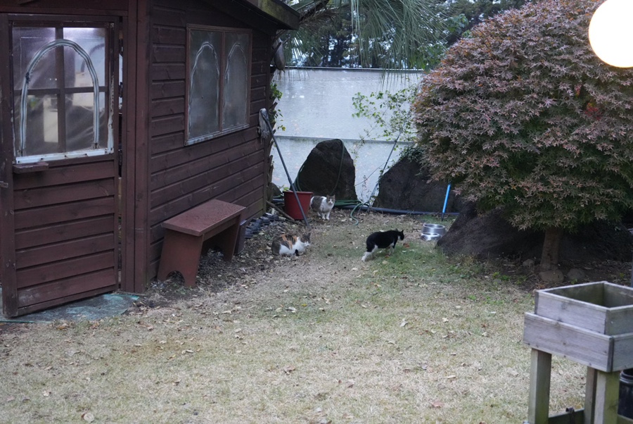 엉또흑돼지 서귀포본점 메뉴판