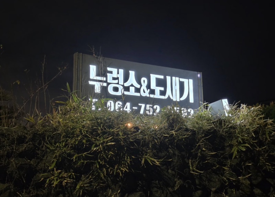 제주 소고기 맛집 | 누렁소앤도새기 솔직후기