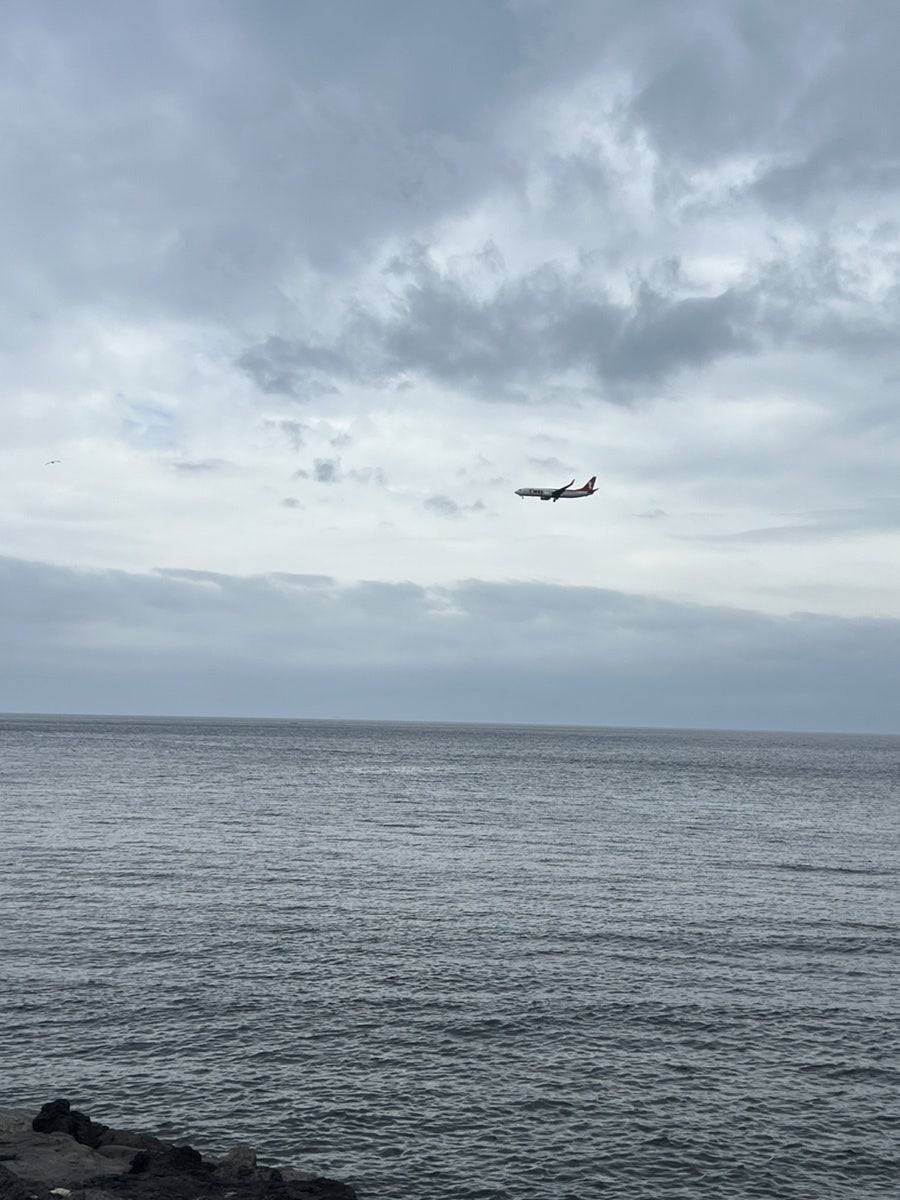 제주 붙임머리 추천 | 아우메헤어 시술 솔직 후기