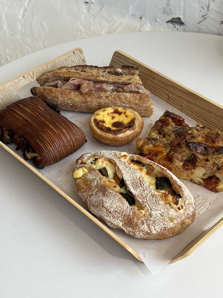 북성로42 식물 인테리어