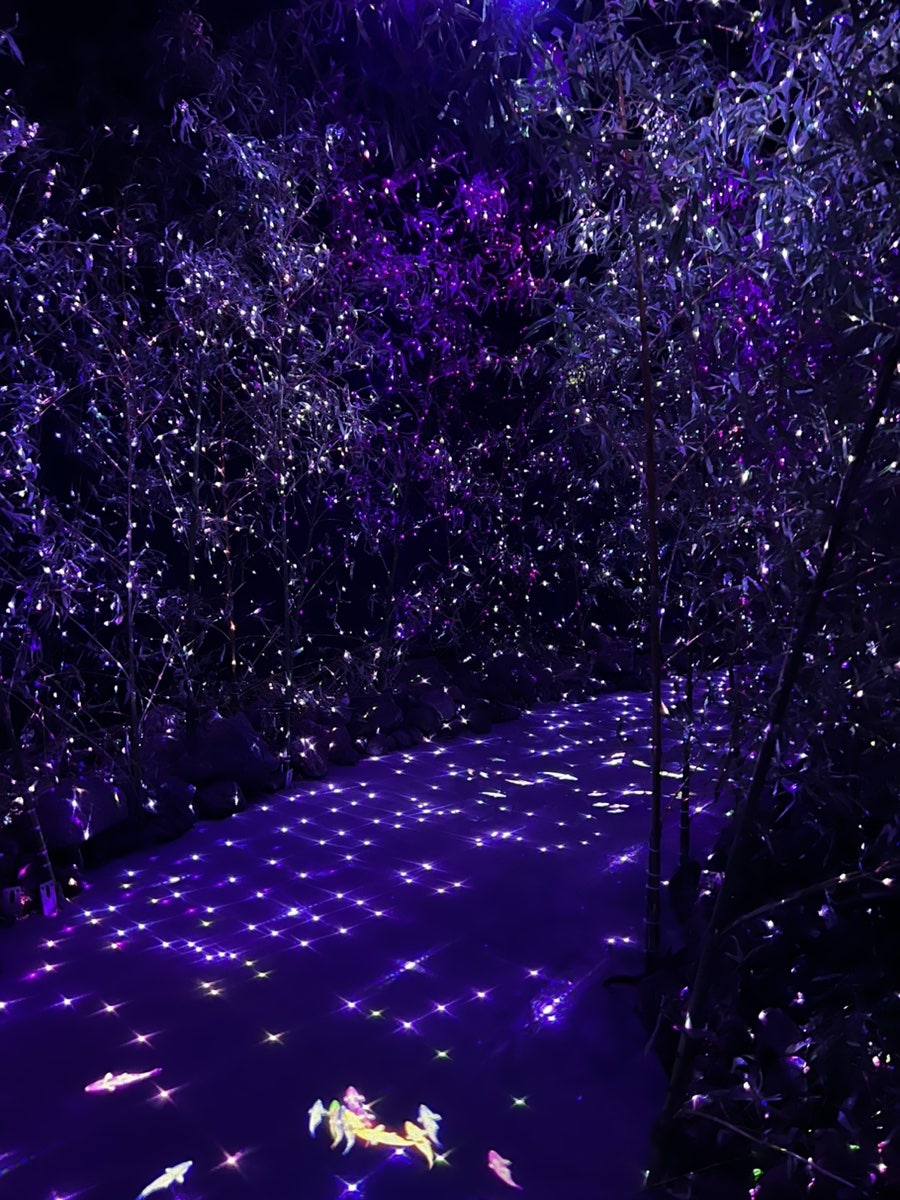 노형수퍼마켙 포토존