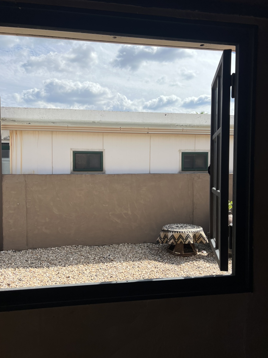 카페 덤불 창문 뷰