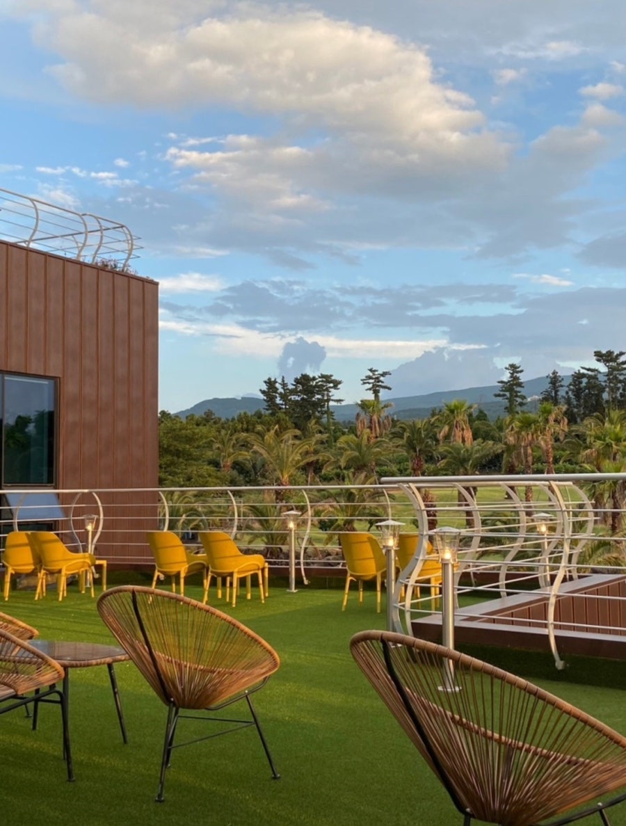 피커스 제주 원색 인테리어