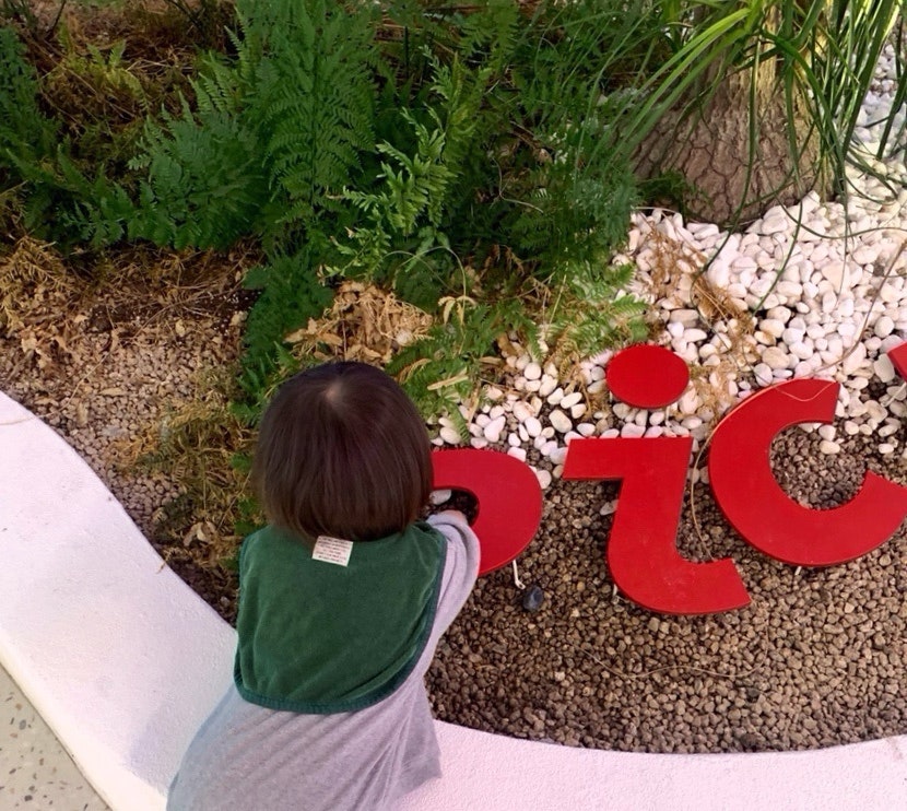 피커스 제주 아이스아메리카노