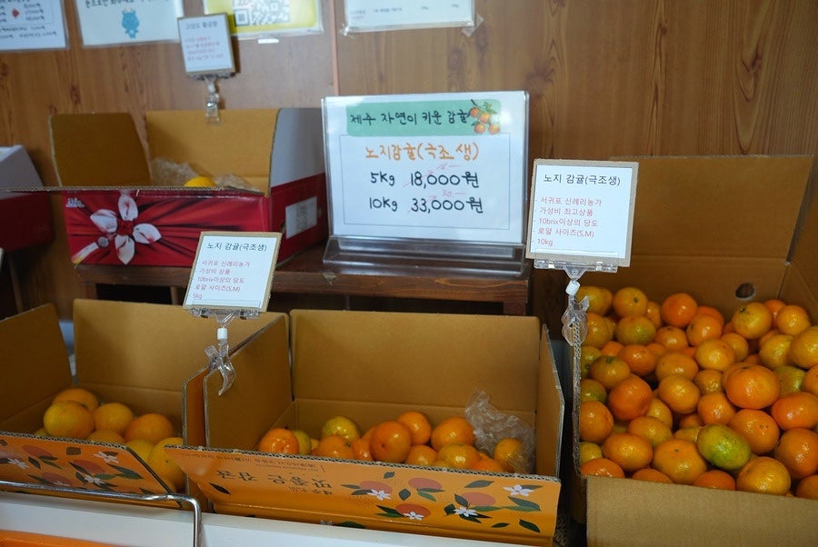 제주공항 맛집 맛집