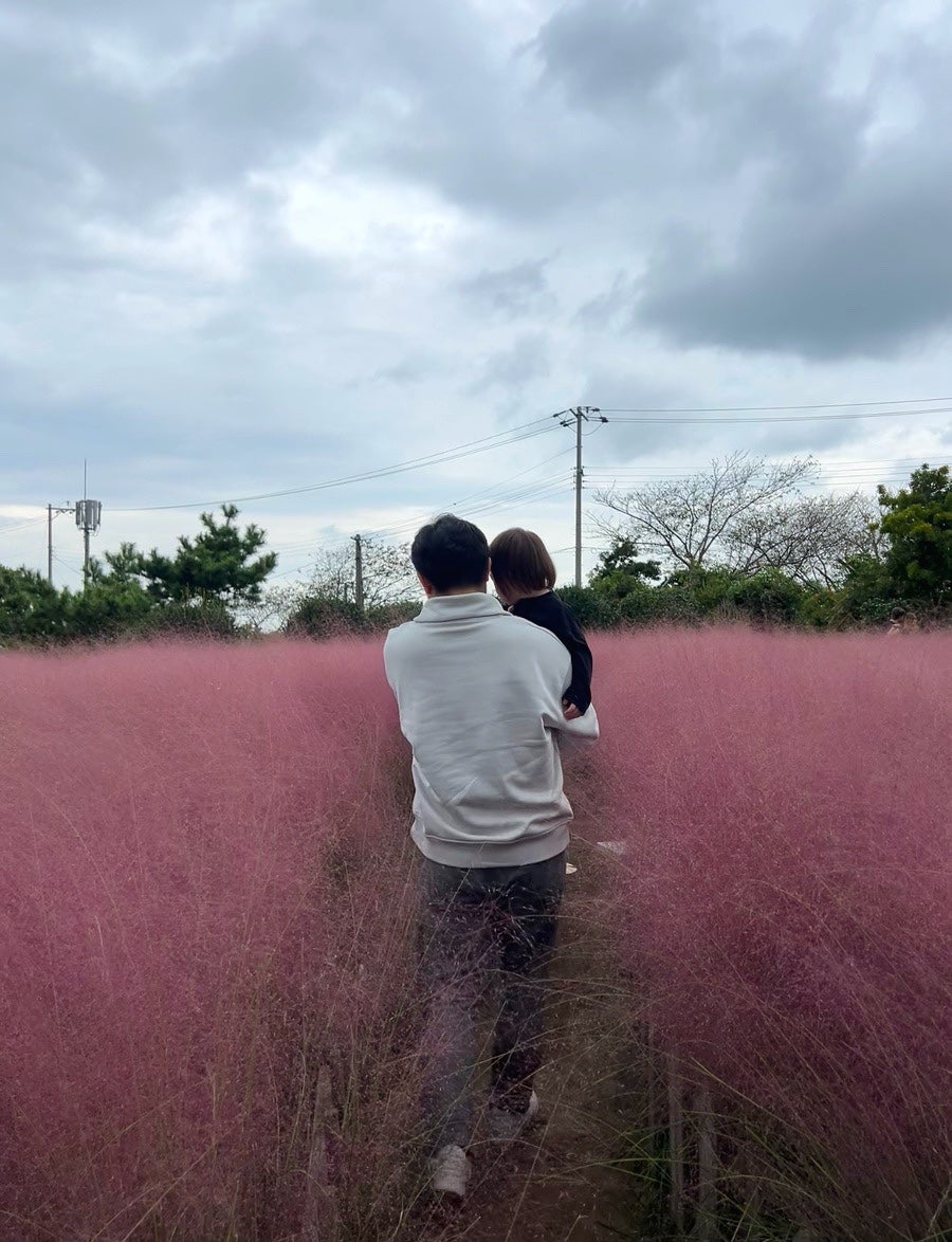 마노르블랑 핑크뮬리 포토존